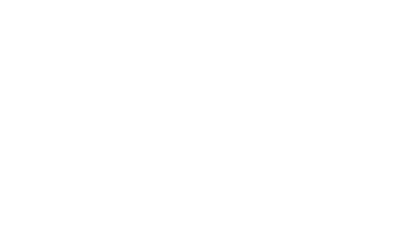 David Richter Logo weiß